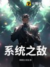 系统之敌